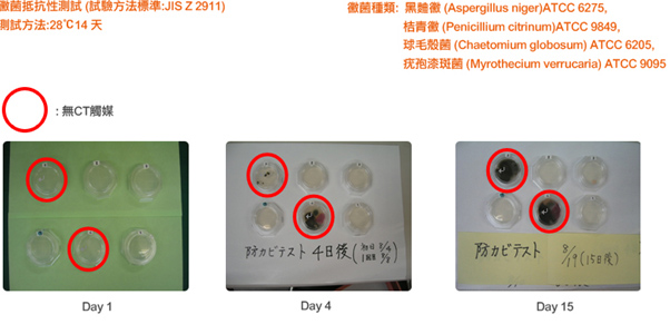 CT觸媒除甲醛-防霉測試
