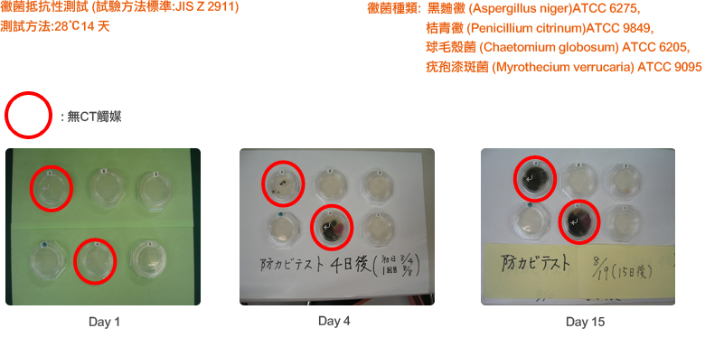 CT觸媒-除甲醛-防霉測試
