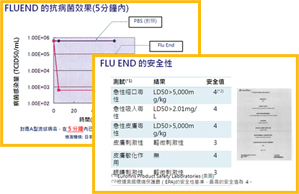 Flu End 測試報告